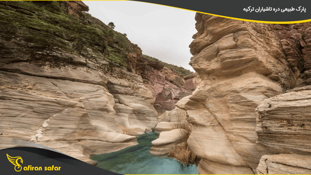 پارک طبیعی دره تاشیاران ترکیه