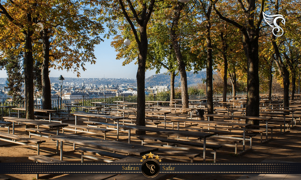 امکانات رفاهی در پارک لتنا در چک