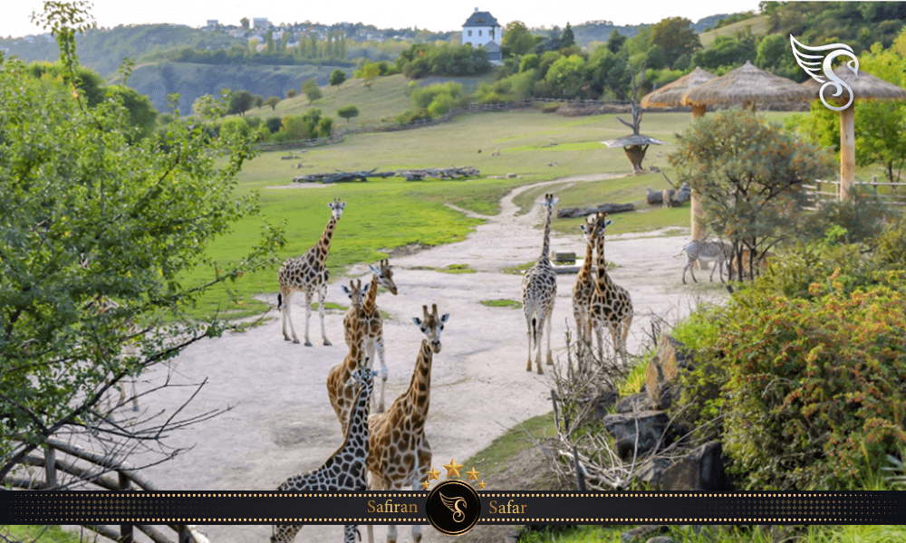 شرایط بازدید از باغ وحش پراگ