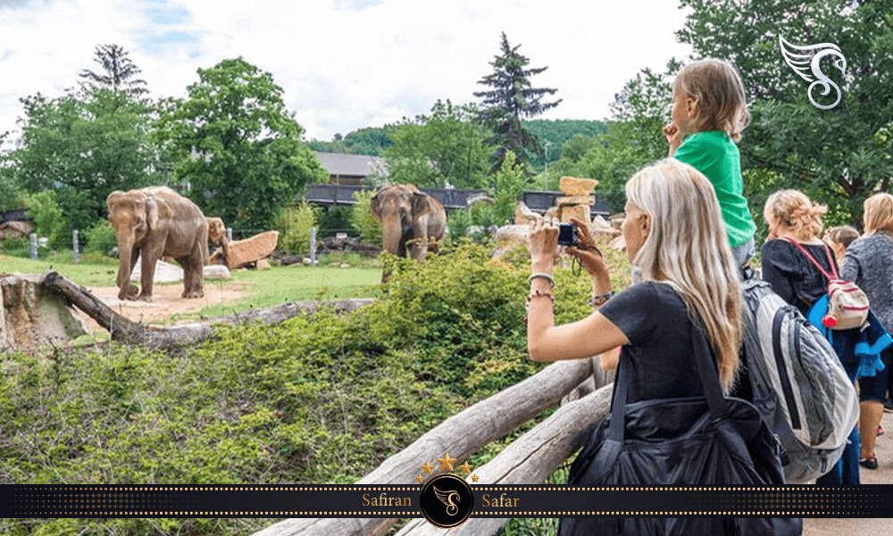 گونه های مختلف جانوری باغ وحش پراگ