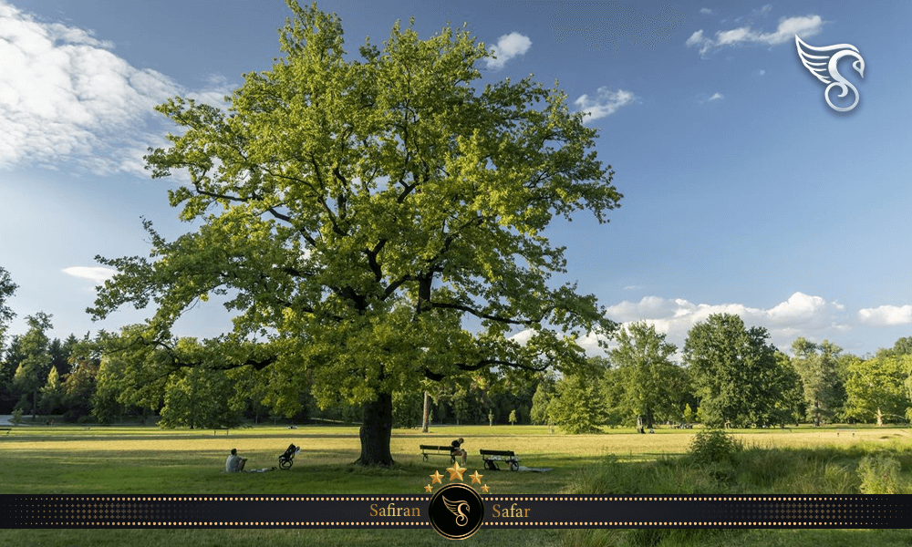 بهترین زمان برای بازدید از پارک استروموفکا در چک