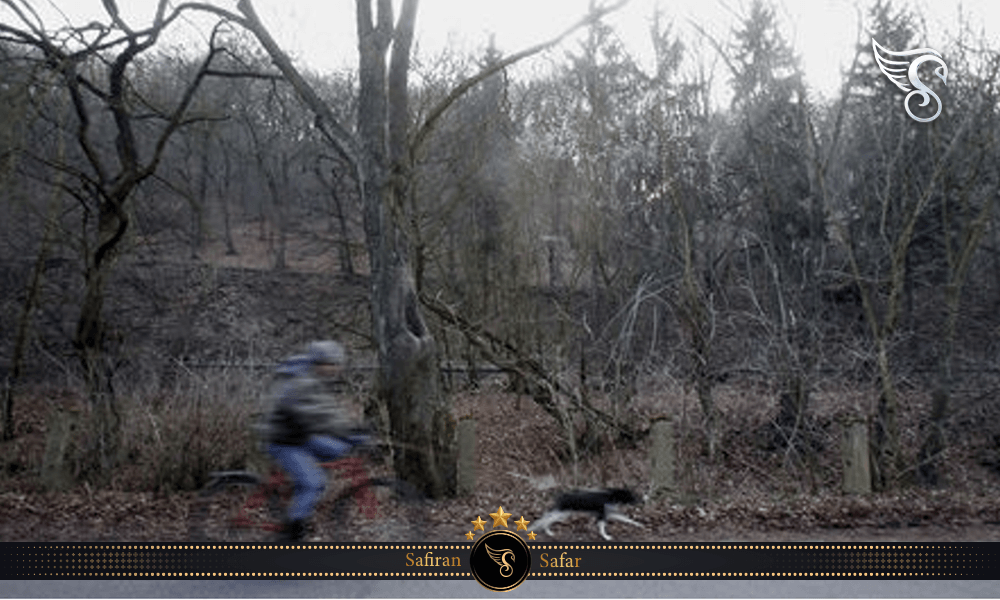 دره پروکوپ چک؛ محلی برای پیک نیک