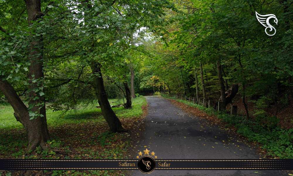 تفریحات دره پروکوپ چک