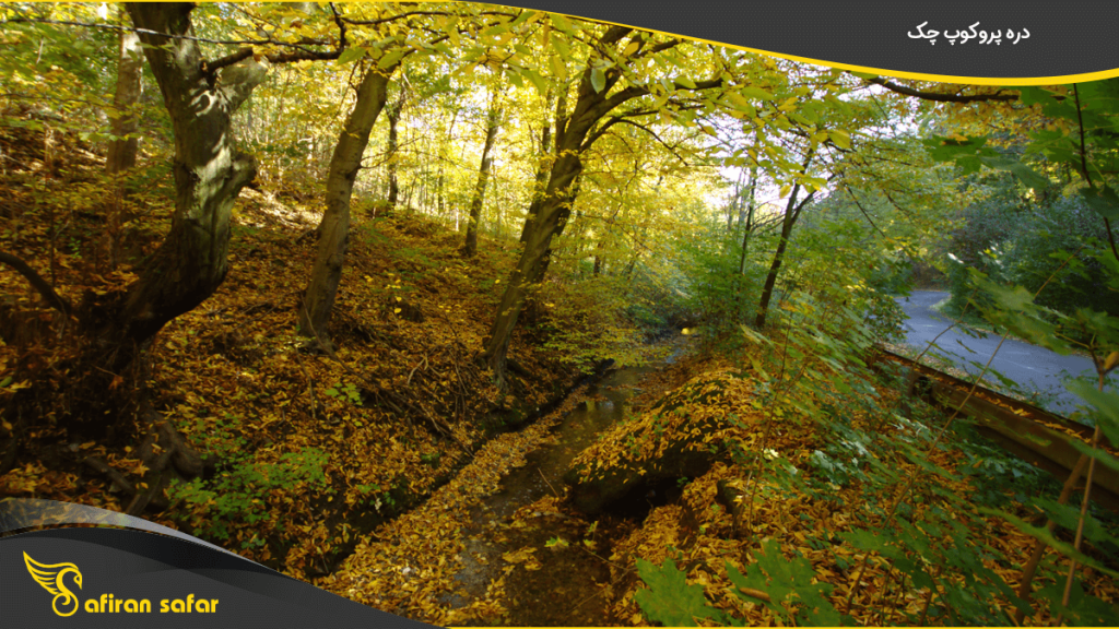 دره پروکوپ چک