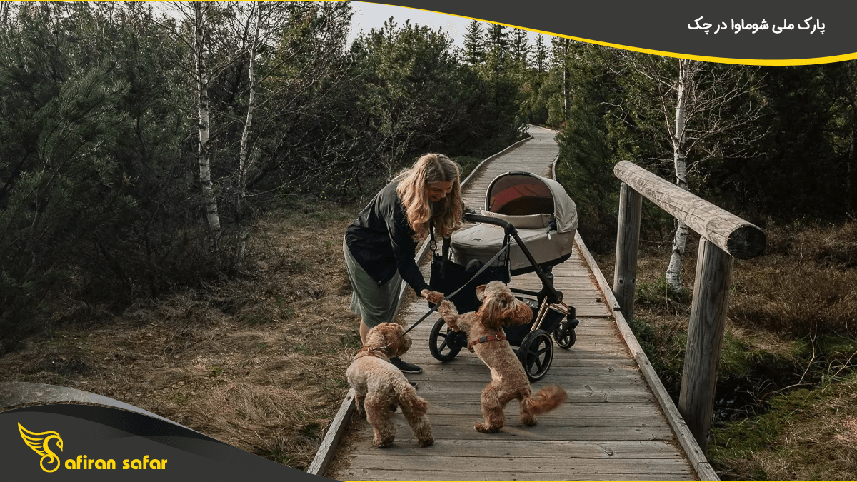 پارک ملی شوماوا در چک