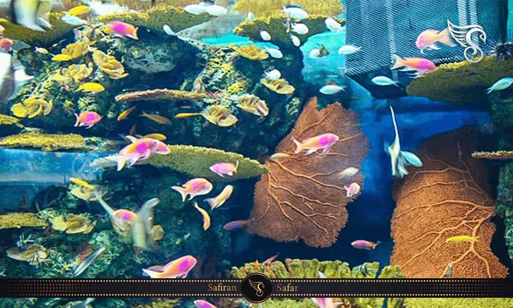 معماری آکواریوم اقیانوس شانگهای چین