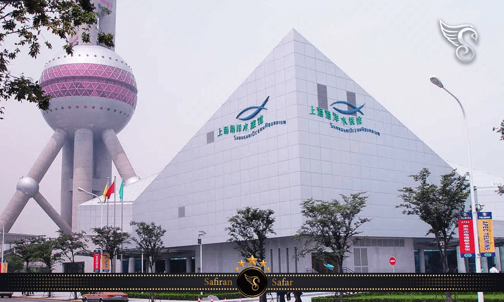 نمایشگاه های آکواریوم اقیانوس شانگهای چین