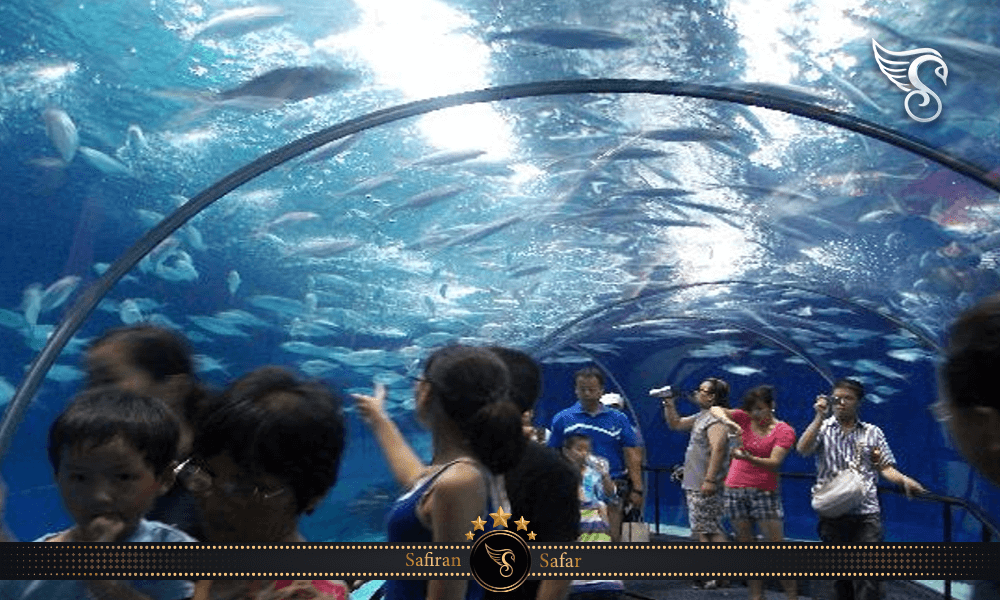 طراحی منحصر به فرد آکواریوم اقیانوس شانگهای چین